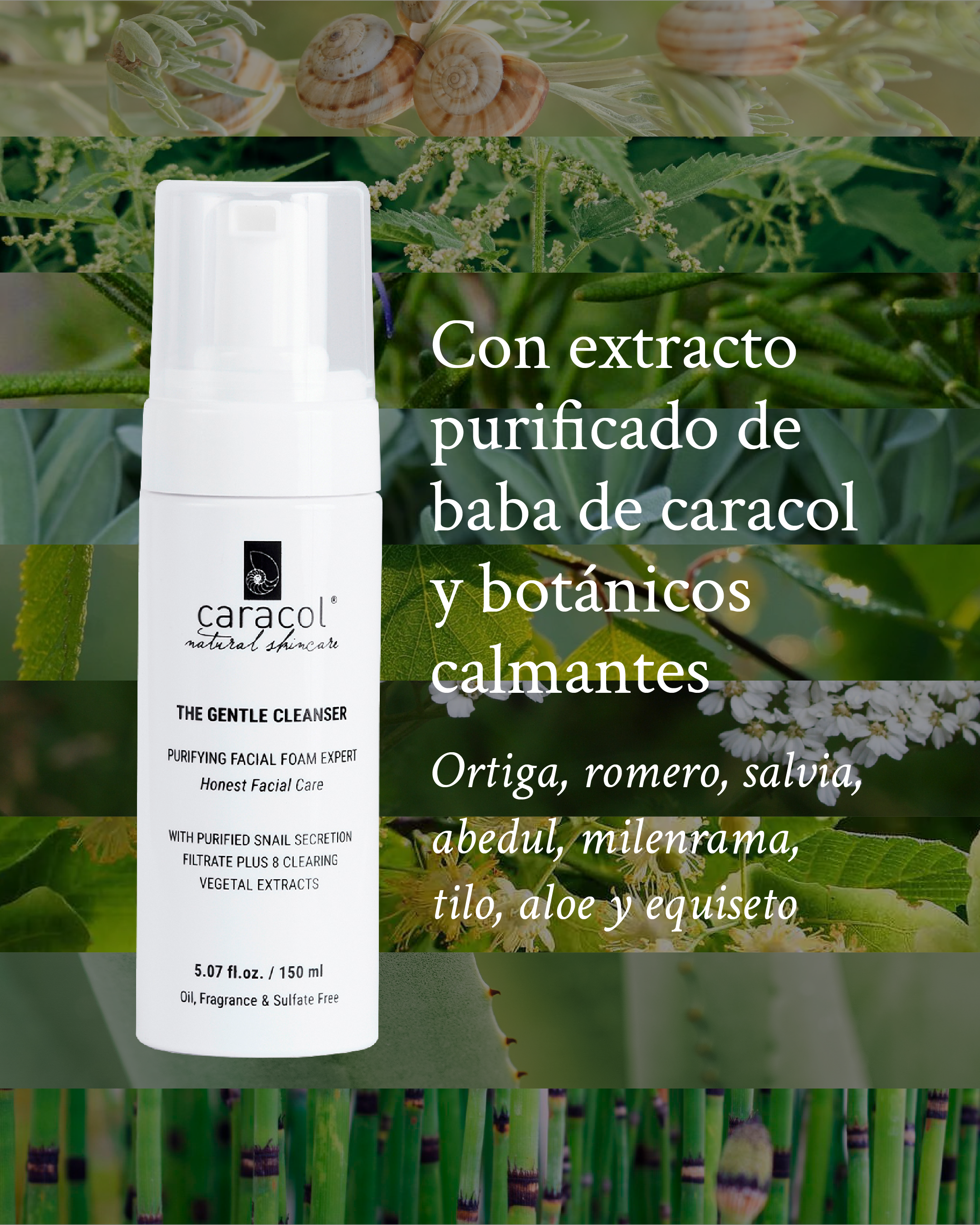 Suave Mousse de Limpieza de Rostro