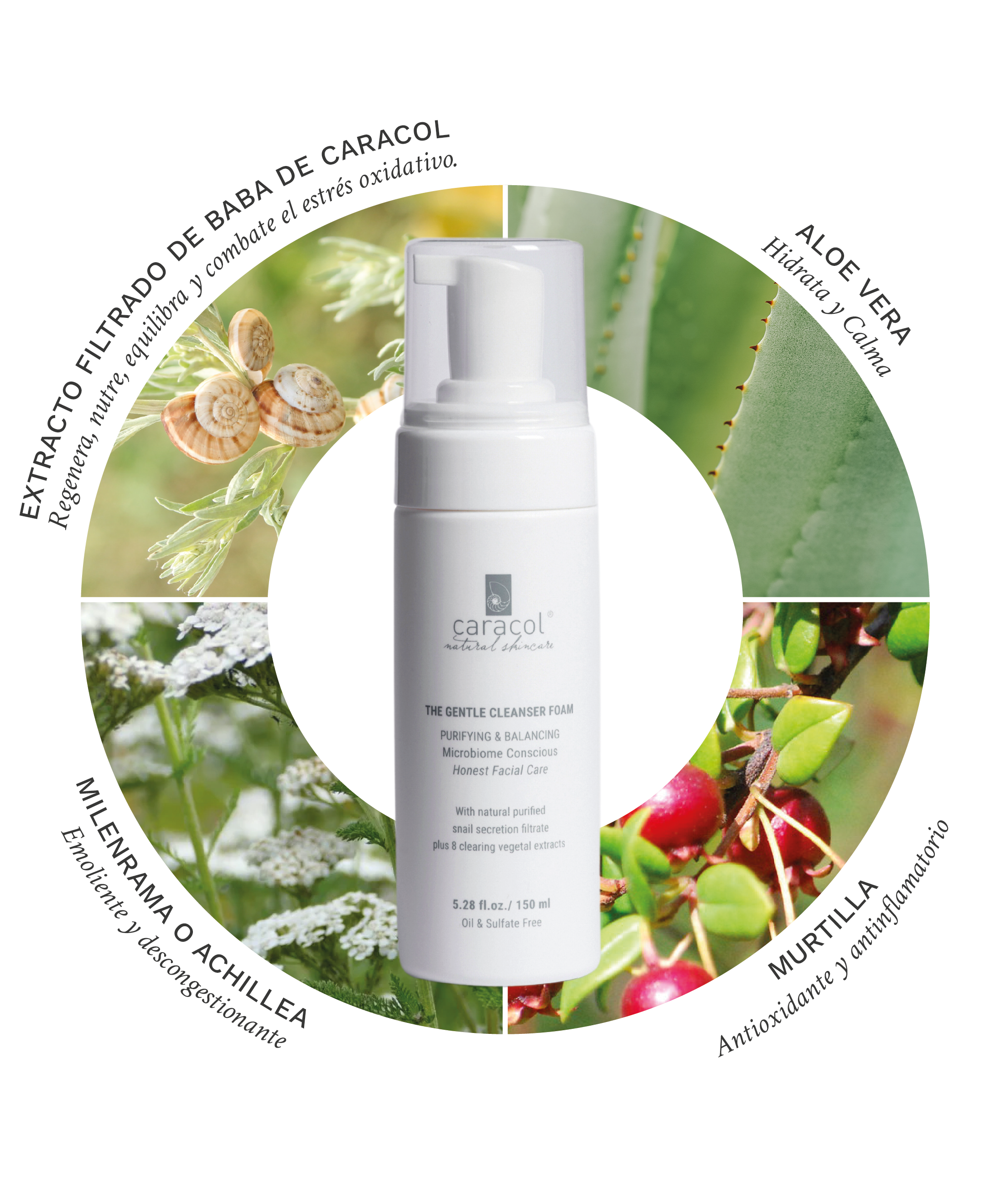 Suave Mousse de Limpieza de Rostro