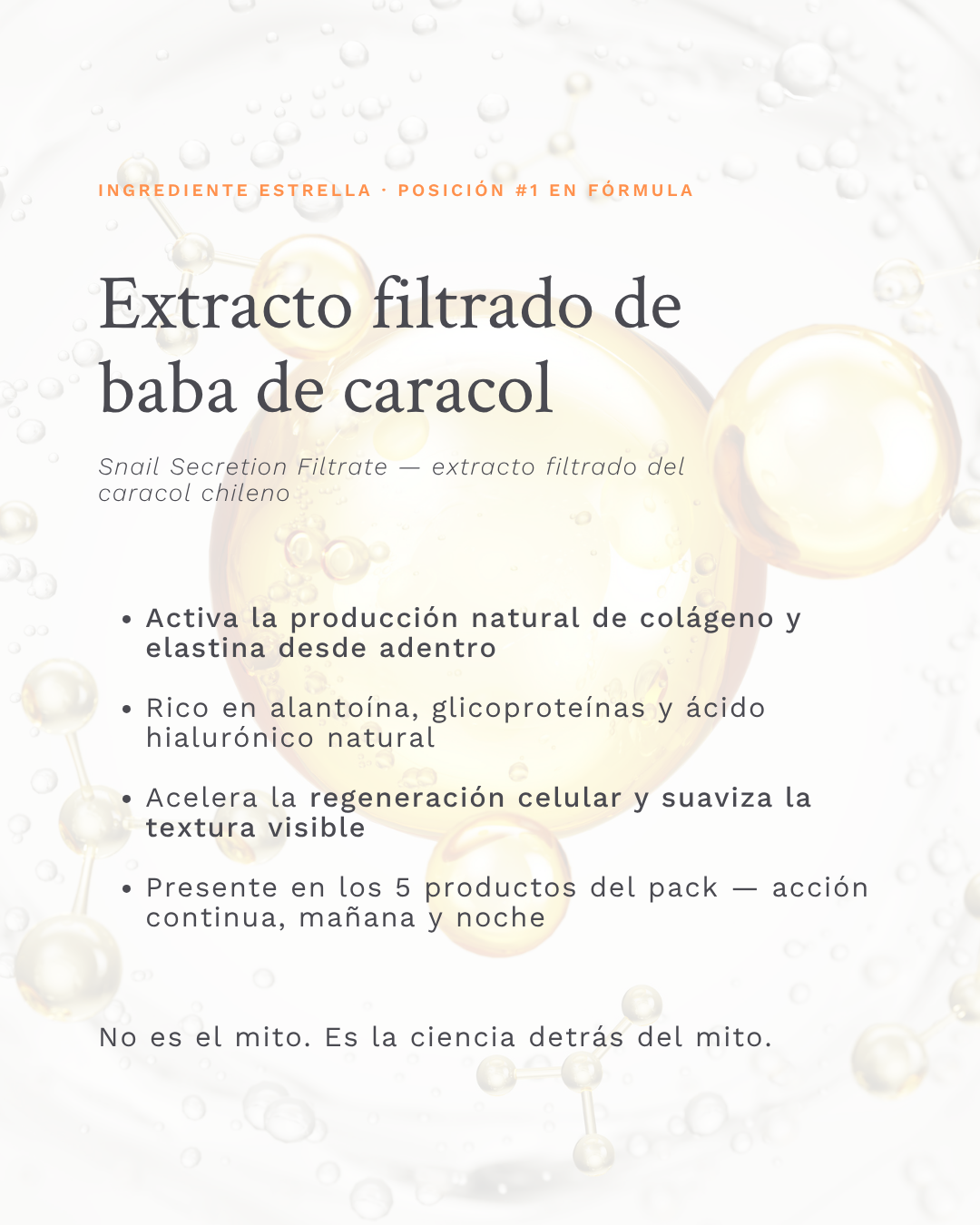 MEGA PACK REGENERADOR